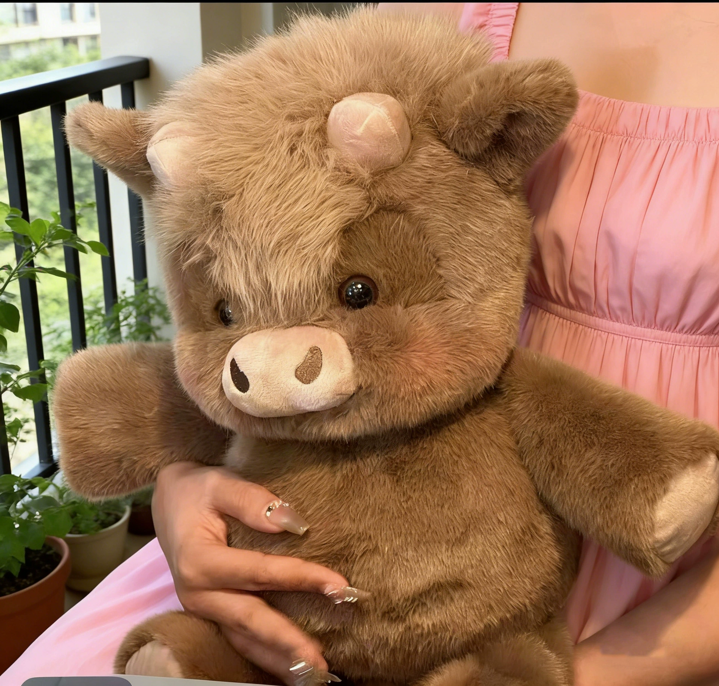 Running Brown Highland Cow